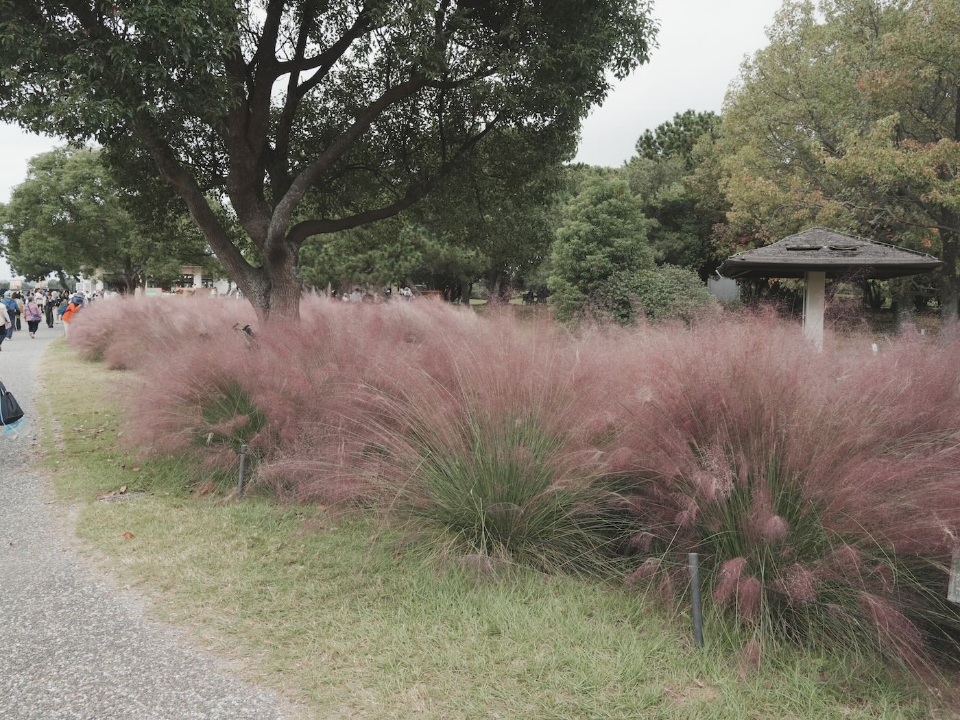 福岡景點 海之中道騎腳踏車 Play Cafe 午餐 - 一口冒險 Bitesized Adventure