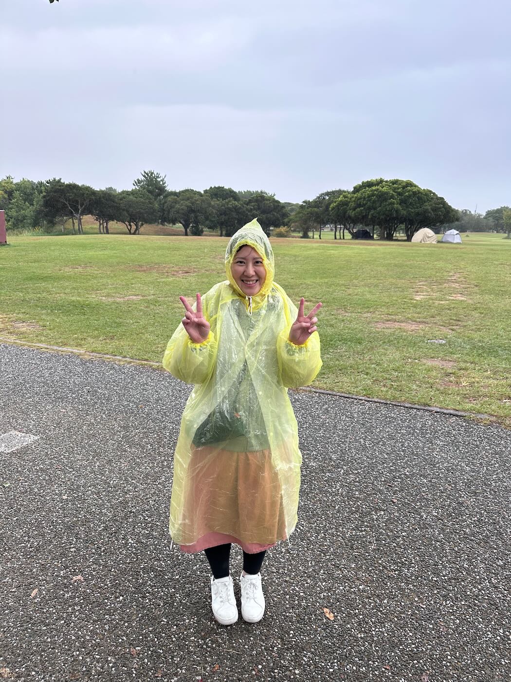 浮光記事 2025 十一月 - 一口冒險 Bitesized Adventure