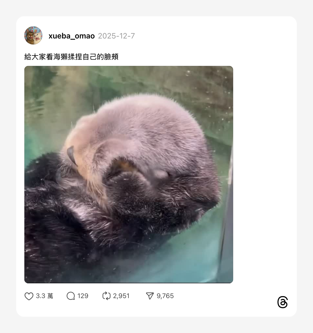 浮光記事 2025 十二月 - 一口冒險 Bitesized Adventure