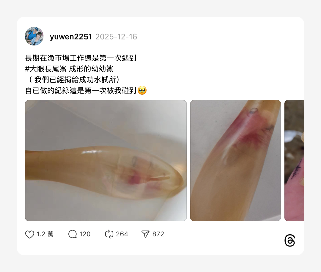 浮光記事 2025 十二月 - 一口冒險 Bitesized Adventure