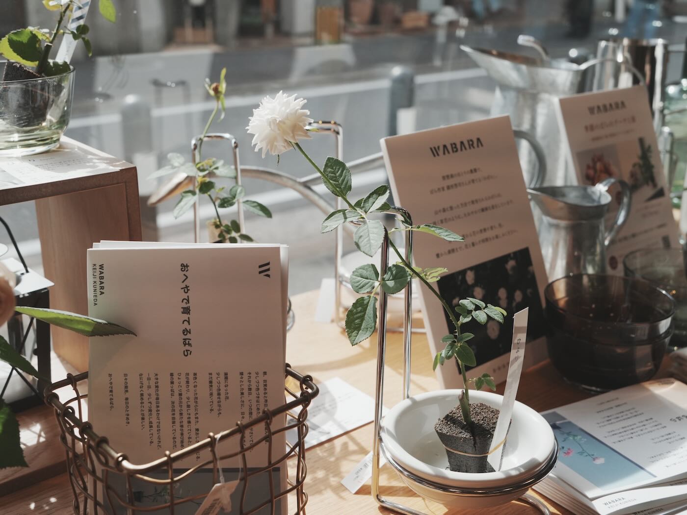 福岡美食 藥院逛街 四家小店推薦 Stereo Coffee、B･B･B POTTERS、磯 LABO、NOOICE Tenjin、春吉公園溜滑梯 - 一口冒險 Bitesized Adventure