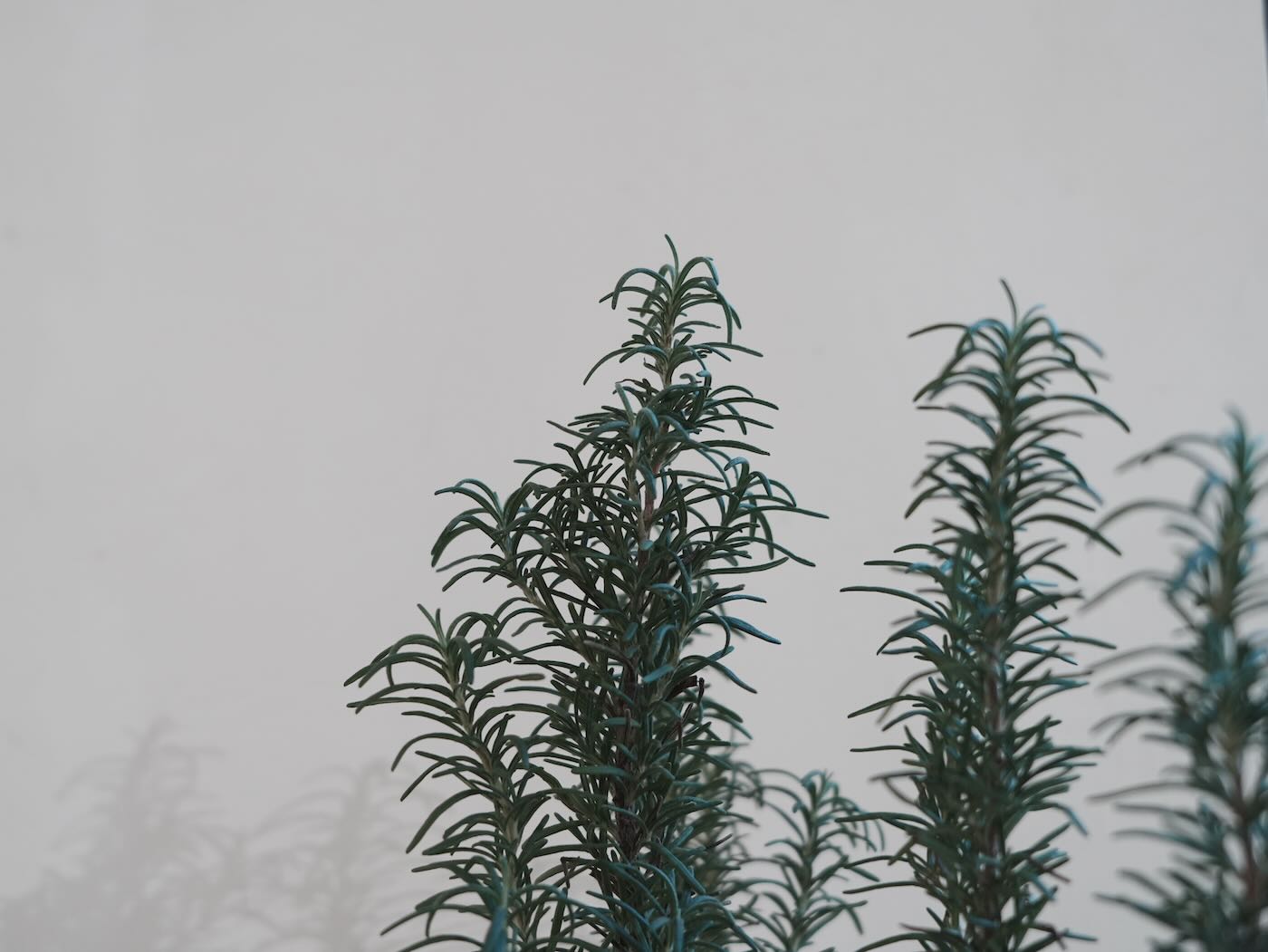 竹市活動 陳耘版畫個展 @ 清華大學 澤藝術空間 - 一口冒險 Bitesized Adventure