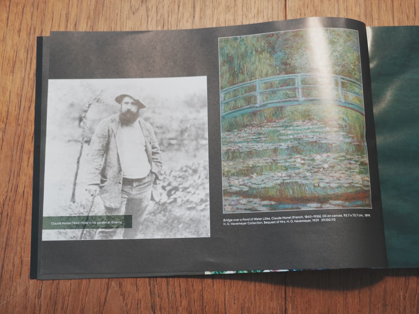 樂高 31220 克勞德・莫內 - 〈睡蓮池上的拱橋〉 - 一口冒險 Bitesized Adventure